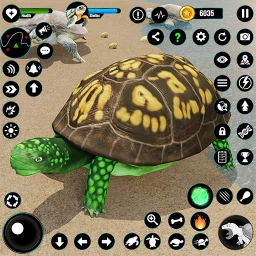 Symbol von Wild Turtle Family Life games